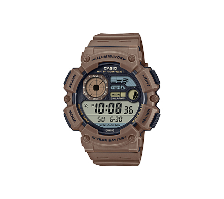 Часы CASIO WS-1500H-5A