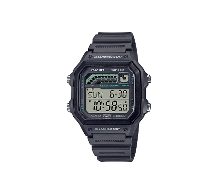 Часы CASIO WS-1600H-8A