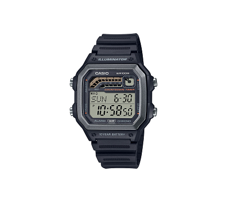Часы CASIO WS-1600H-1A