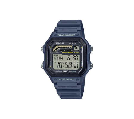 Часы CASIO WS-1600H-2A