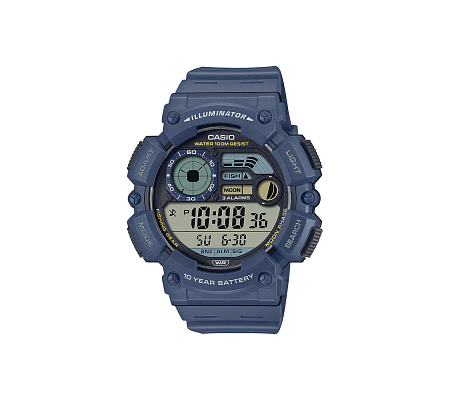 Часы CASIO WS-1500H-2A